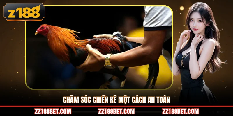 Chăm sóc chiến kê một cách an toàn