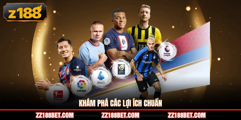 Khám phá các lợi ích chuẩn