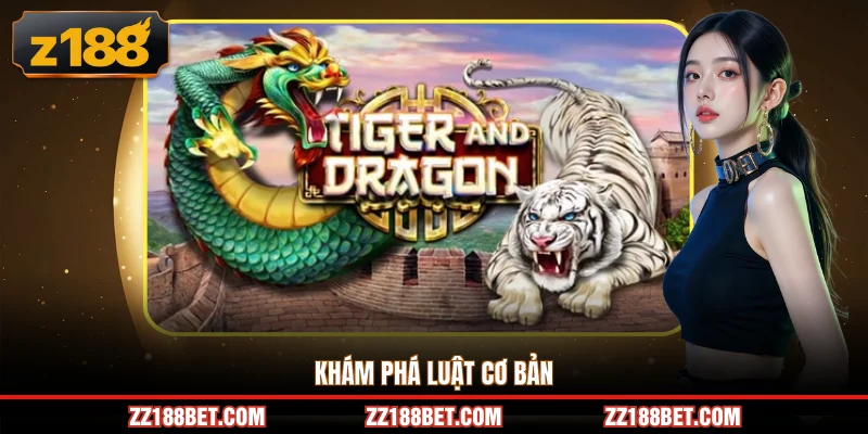 Khám phá luật cơ bản