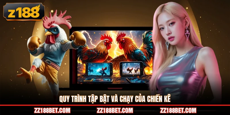 Quy trình tập bật và chạy của chiến kê