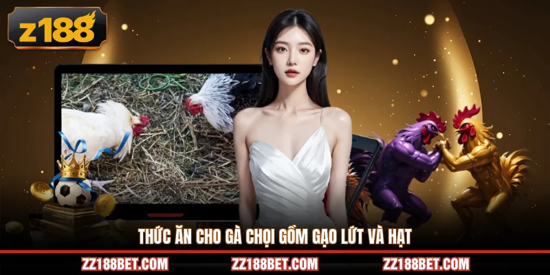 Thức ăn cho gà chọi gồm gạo lứt và hạt 