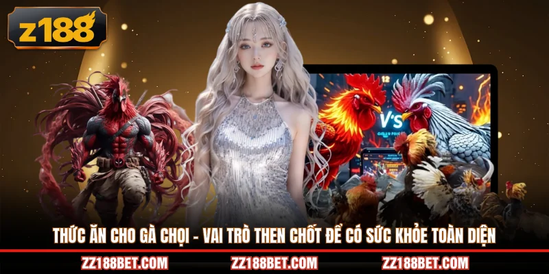 thức ăn cho gà chọi