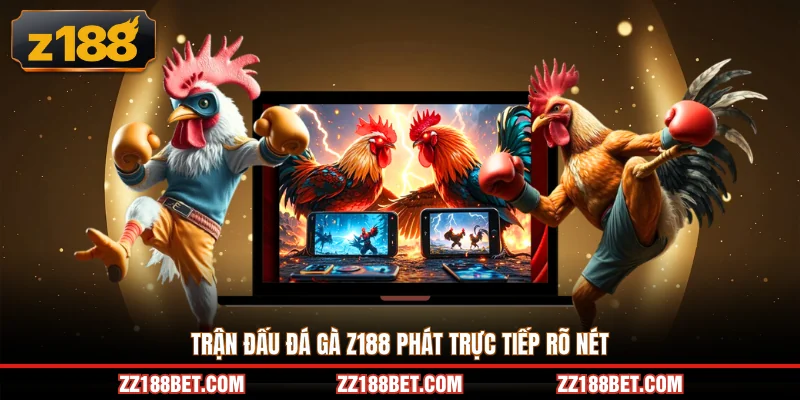 Trận đấu đá gà z188 phát trực tiếp rõ nét